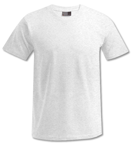 Premium T-Shirt bis 5XL  ash | 4XL