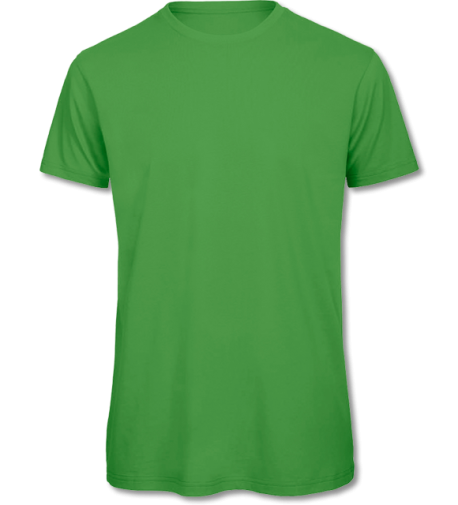 Bio-T-Shirt Inspire Men real green | 2XL
